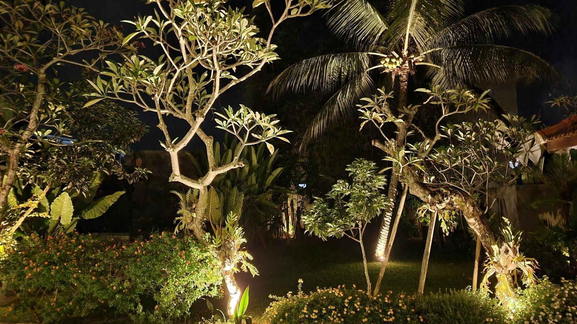 Villa New 4 Bedroom Surrounded By Jungle And Ricefields