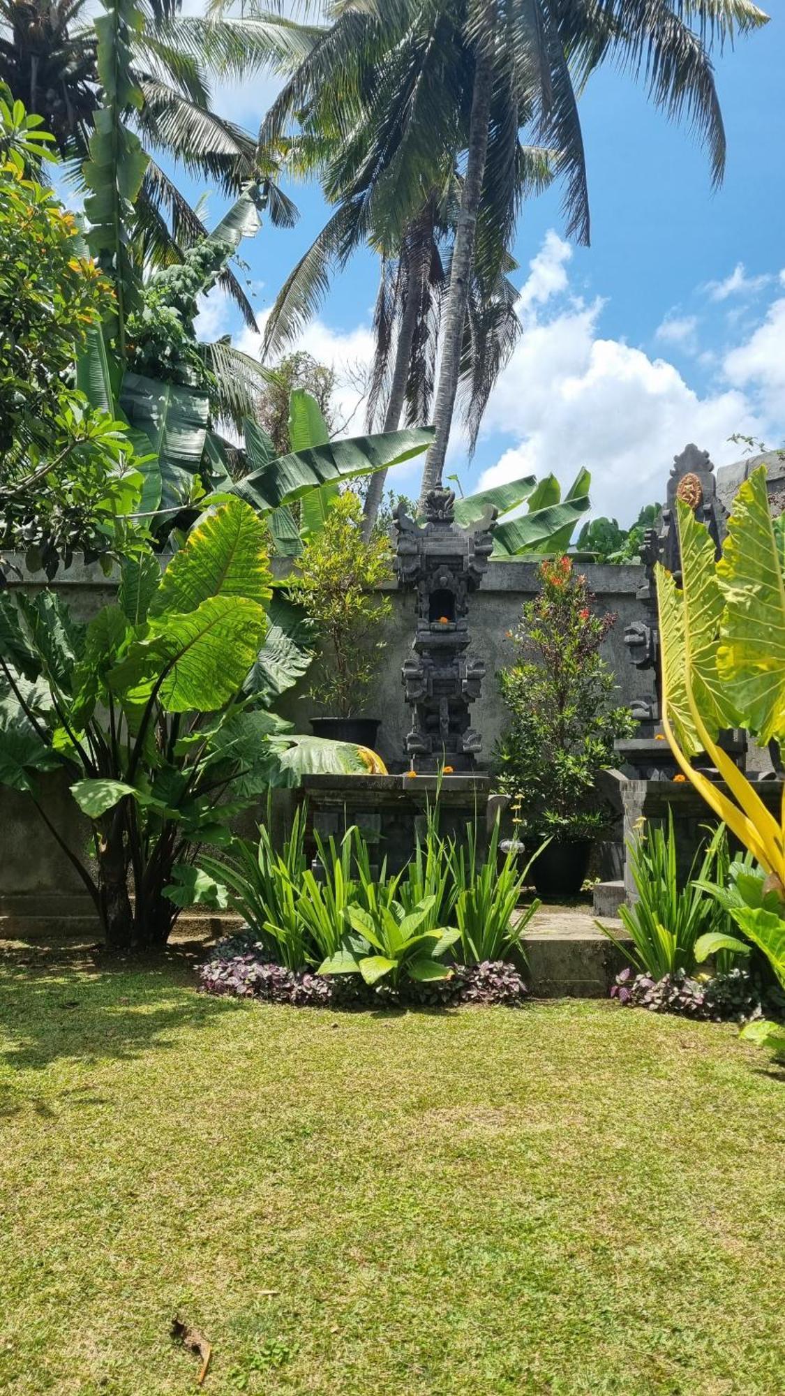 New 4 Bedroom Surrounded By Jungle And Ricefields Villa